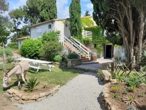 terrasse sud, ane - Copie - Copie