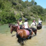 rando-cheval-riviere2