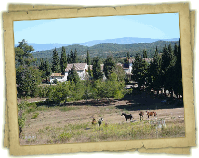 Vue d'ensemble du Domaine de Pommayrac avec les chevaux